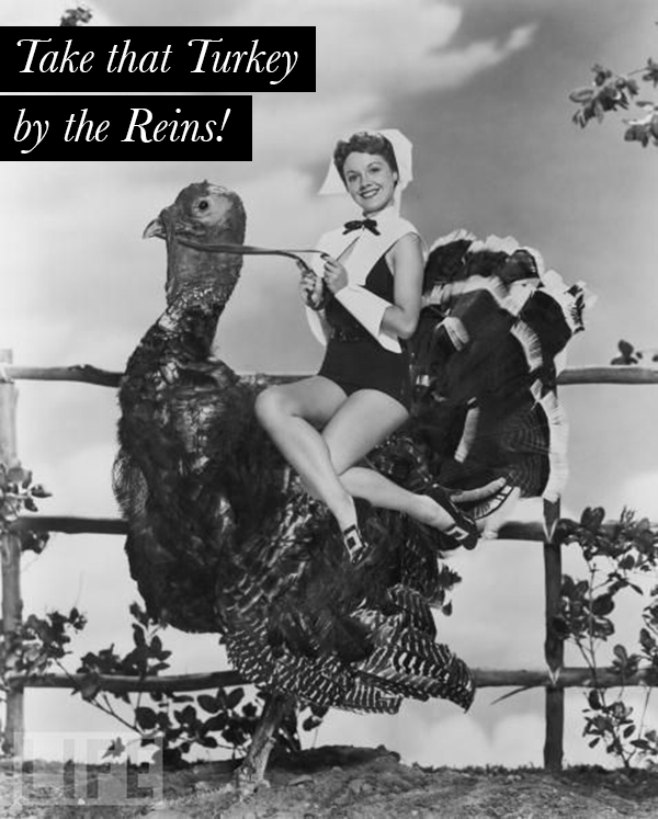 Take that turkey by the reins!