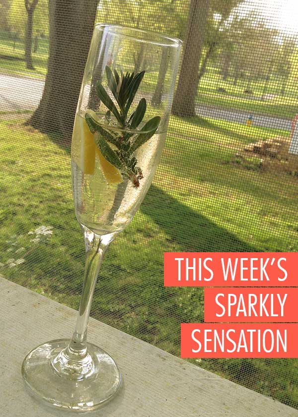 This Week's Sparkly Sensation
