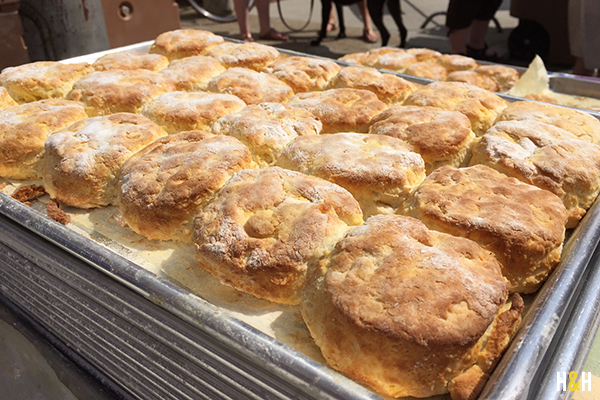 2015 Biscuit Festival in Knoxville, TN | Hannah & Husband