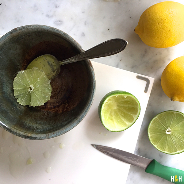 lemons-limes-jello-shots-hannahandhusband